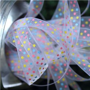 Organza Swiss Dot Ribbon - White/PBY